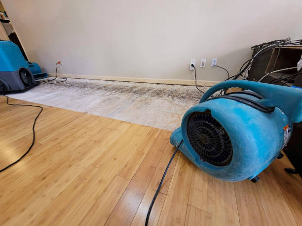 Professional Structural Drying technician working in Inver Grove Heights, MN